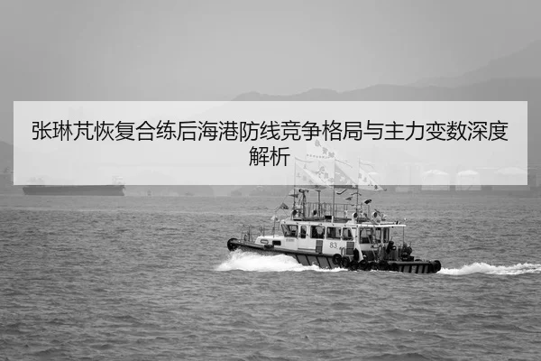 张琳芃恢复合练后海港防线竞争格局与主力变数深度解析