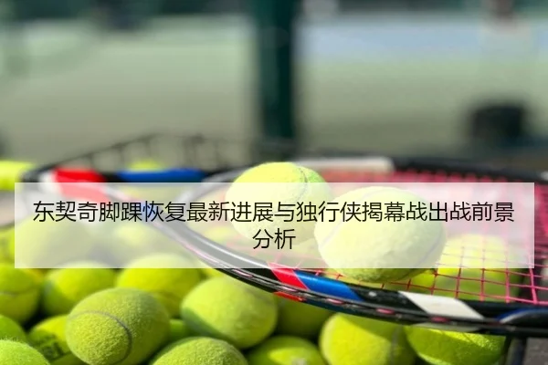 东契奇脚踝恢复最新进展与独行侠揭幕战出战前景分析
